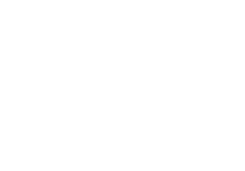 NJFW Logo